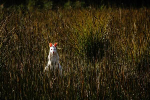 Adventure Bay Retreat Bruny Island