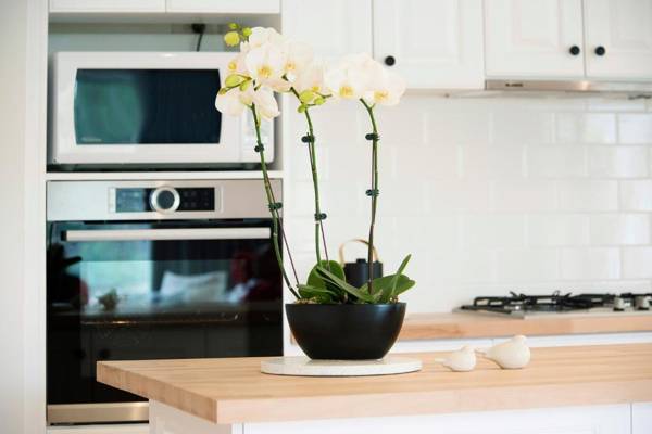 Sorrento Beach Escape