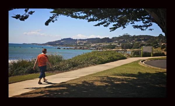 Penguin Beachfront Apartments