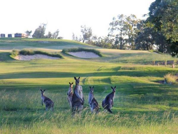 Riverside Oaks Golf Resort