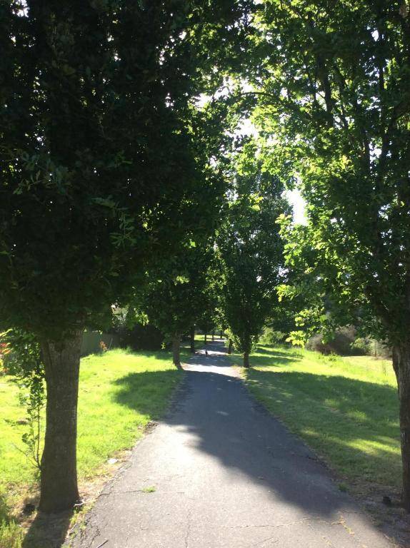 A Suite Spot in the Hills