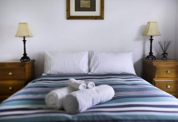 Bindi - Pet Friendly