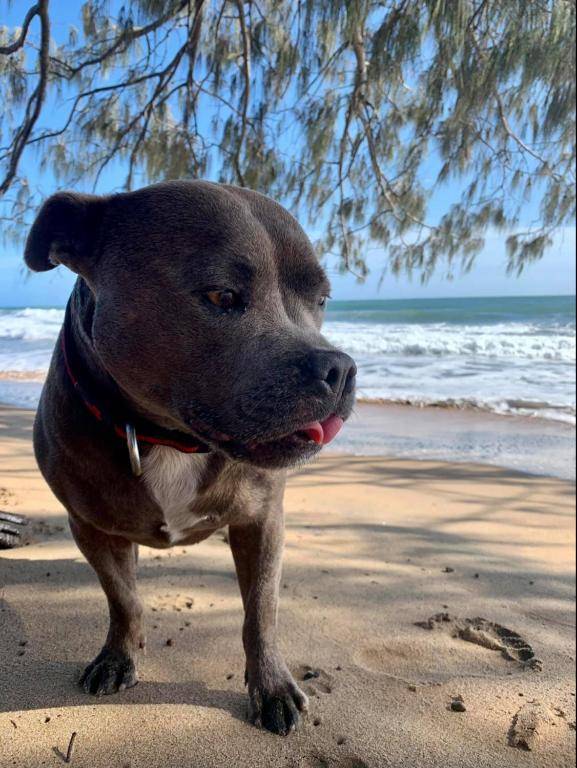 KiteSurf 1770 Beach House