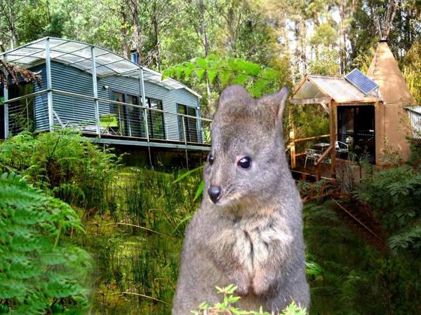 Huon Bush Retreats