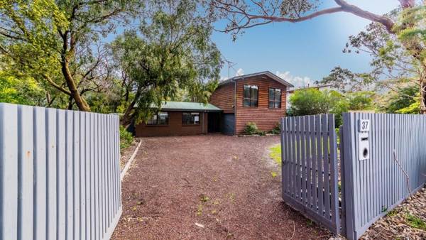 FLORIDA TREES - SURF SIDE