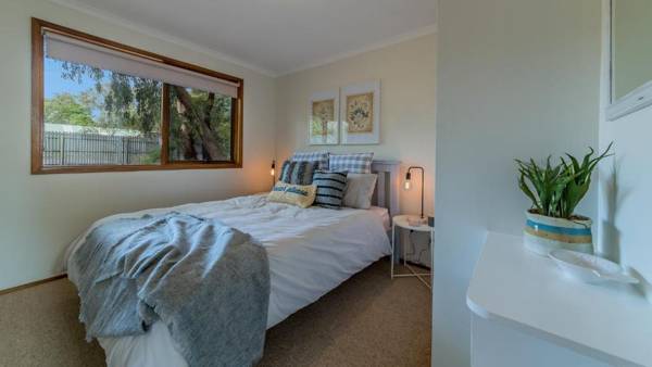 FLORIDA TREES - SURF SIDE