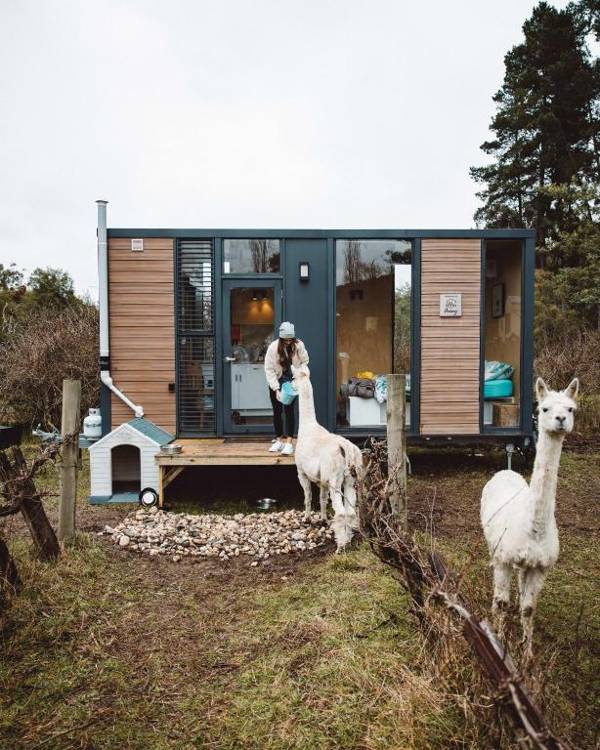 Alpaca Tiny House with Vineyard Lakeside