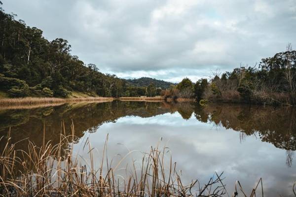 Alpaca Tiny House with Vineyard Lakeside