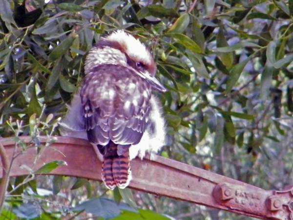 Acacia Hills Retreat