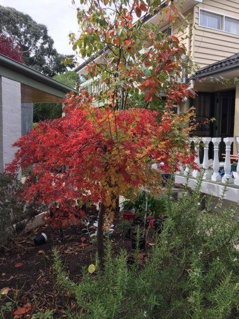 A1 Holiday home close to train station