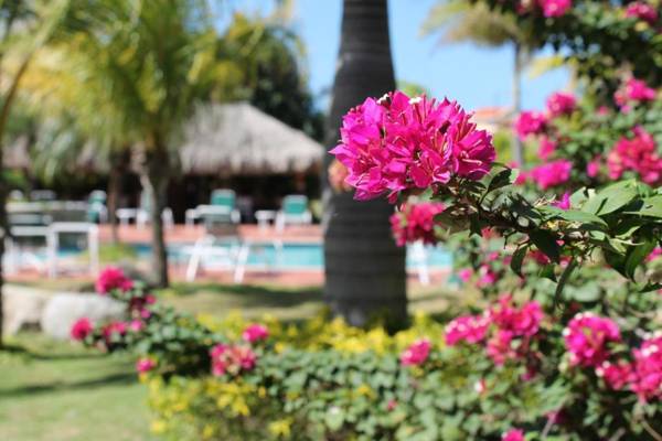 Aruba Eagle beach home