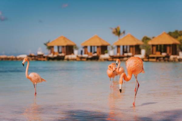 Renaissance Wind Creek Aruba Resort