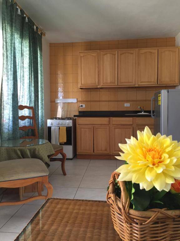 E Solo Aruba Apartments