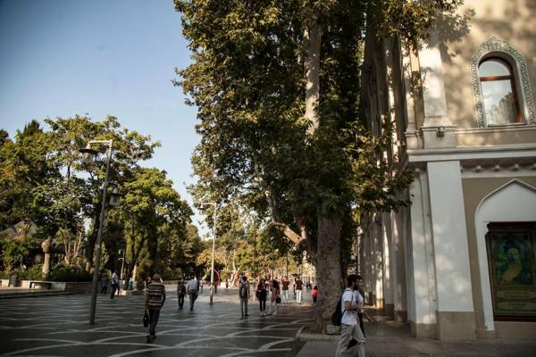 Cozy Old City Apartment