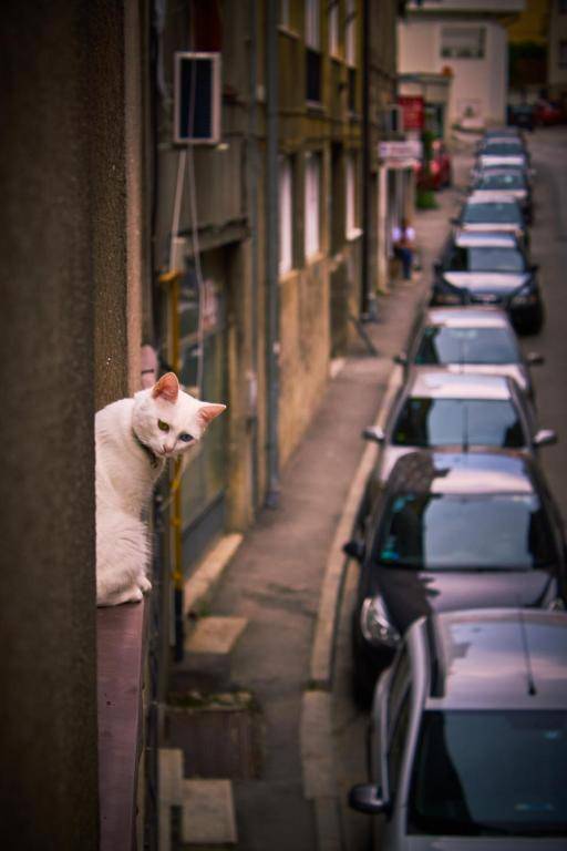 Orient-Express Apartment