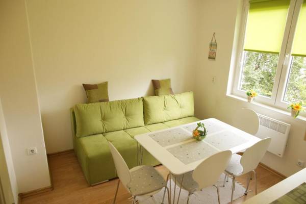 Lovely apartment in Old town 400m from city center Sebilj