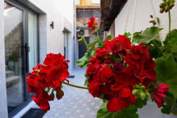 Ferhadija 31 Old town Sarajevo