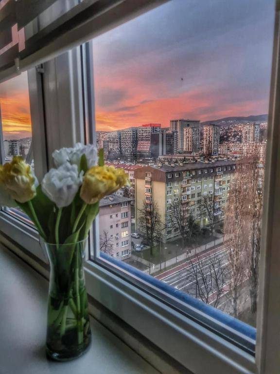 Nights & Smiles Sarajevo