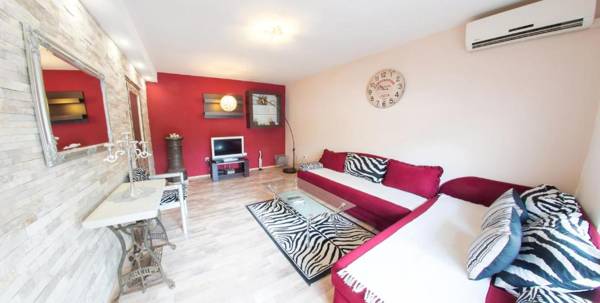 Studio Apartment Zebra