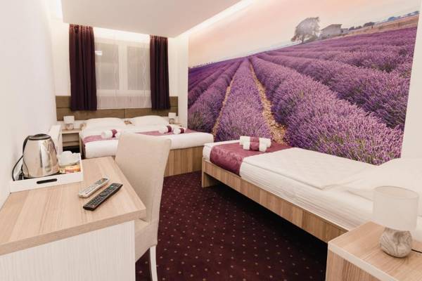 Hotel & Spa Villa Meydan