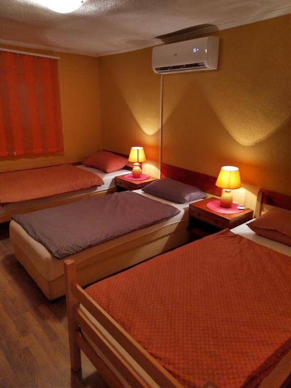 Apartment Exotic Garden