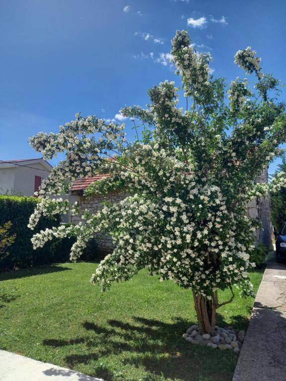 Guest house Janja Ostojic