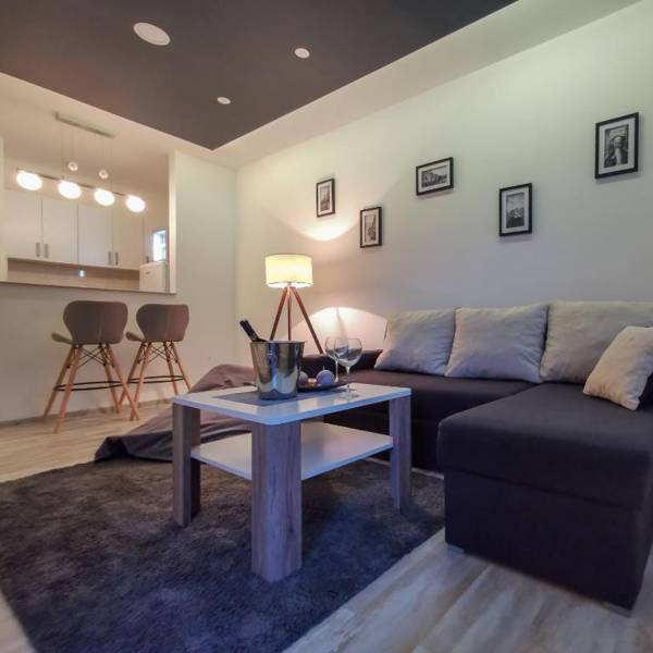 Sarajevo apartman Black&White