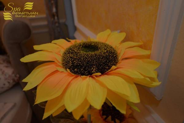 Spa Apartman Banja Luka