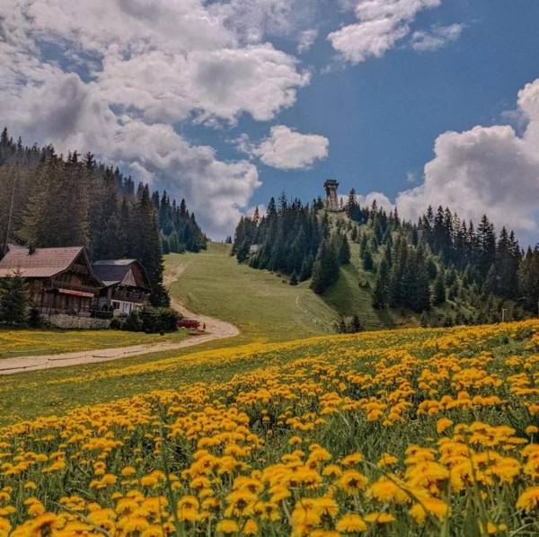 Enjoy the Silence Holiday Home