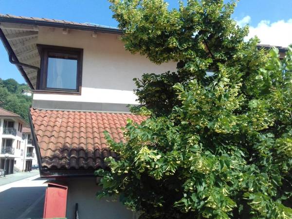 Linden Tree Apartment