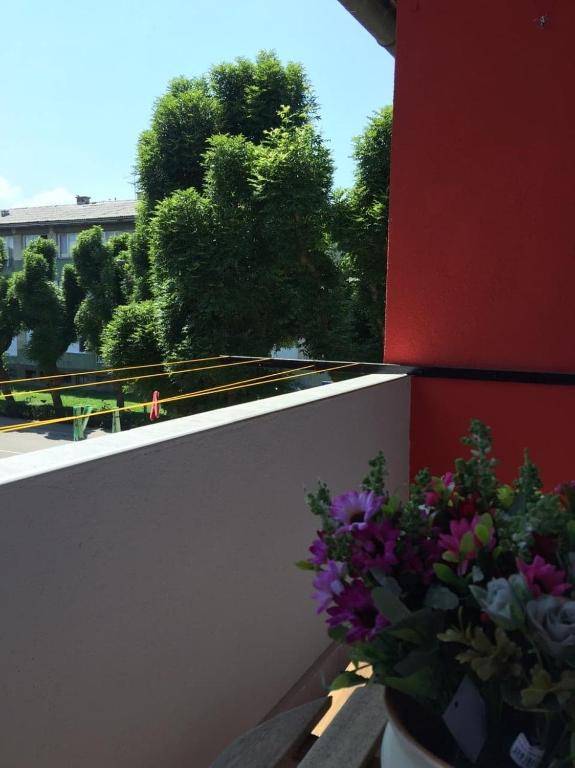 Stan na dan Gradiška/Bos. Gradiška