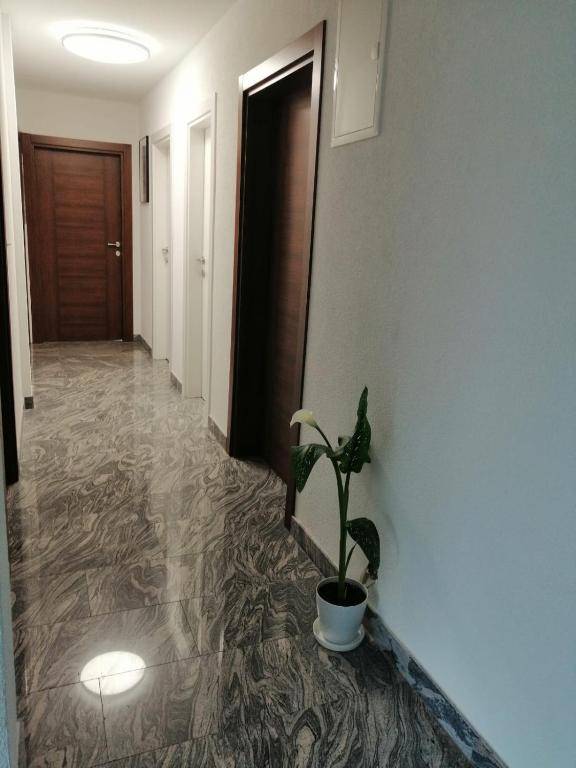 Apartmani Imamovic