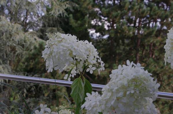 Logis Hostellerie De La Claire Fontaine