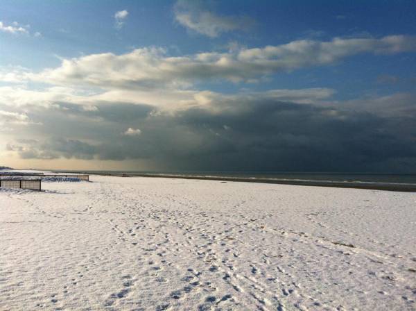 Residentie Sofia Coxy-Beach Iepenwal Kraaienest Atlantic Royal Miramar