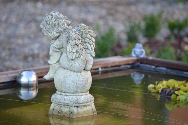 Boutique Hotel Butler