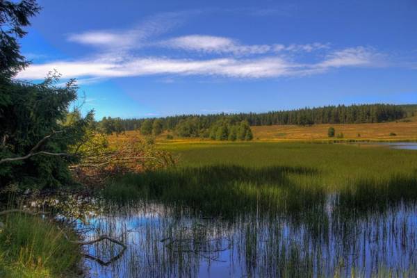 Domaine Des Hautes Fagnes