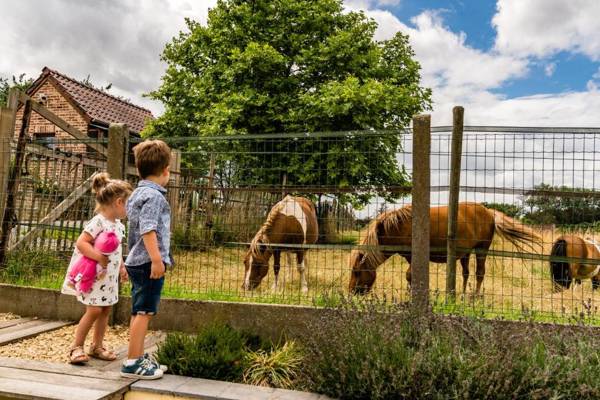 Vakantiewoning Buitenrijk