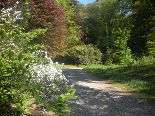B&B La Cabane du Bois Dormant