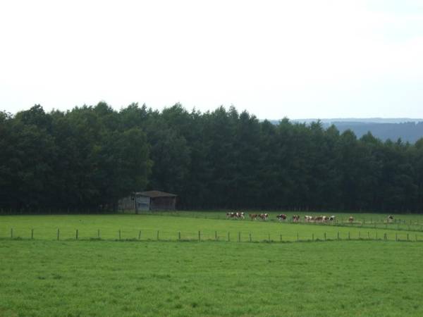 L'Horizon Studios & Apparts