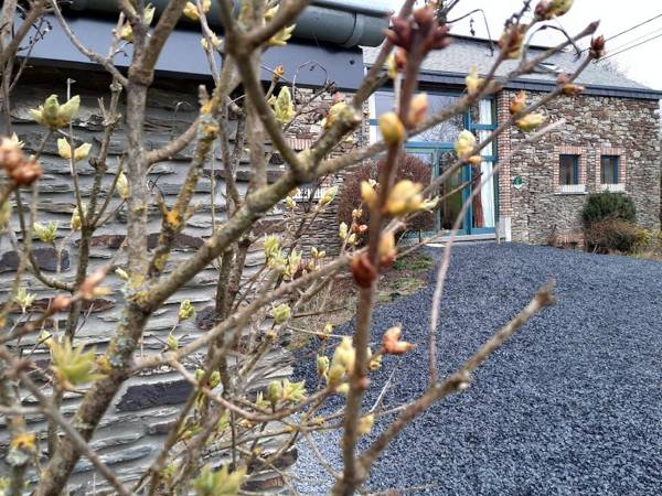Gîte L'Olivier à Filly - Nadrin entre Houffalize et La Roche-en-Ardenne
