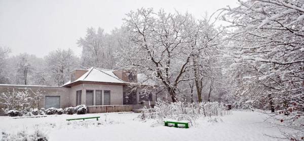 Marcel de Gand Business & Travel