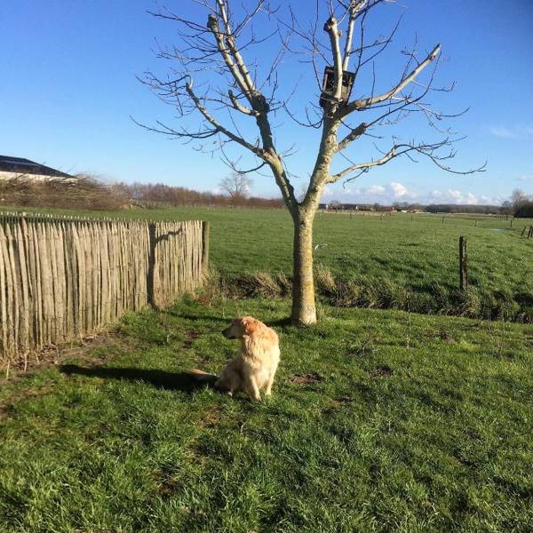 Vakantiehuis Loft André