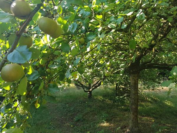 Château Lambert Hotel-Resto-Parking-Shuttle a 1 ha green Oasis at 8 min from CRL Airport without any noise