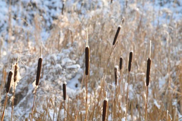 B&B Le Relais du Moustier
