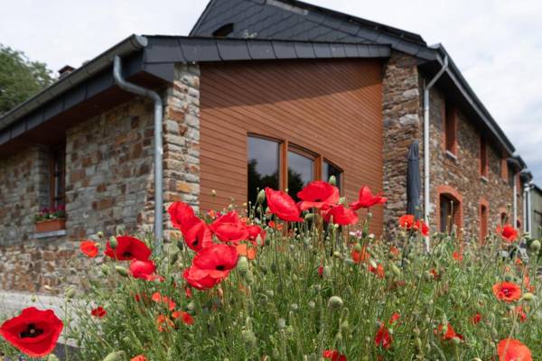 Chanteloup Maison d'hotes - Halleux