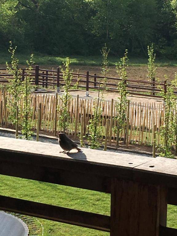 B&B La Douceur de la Miclette