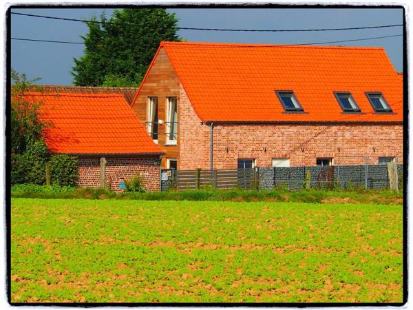 Nice and cosy cottage in the heart of the Flemish Ardennes. All-in costs.