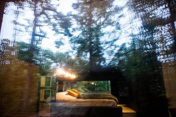 Forest Cube
