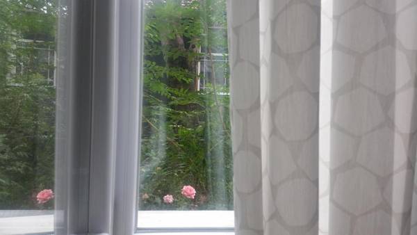 Downtown Sofia Garden Nest