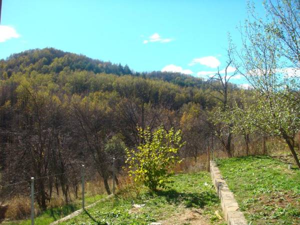 Family Hotel and Restaurant Plamena